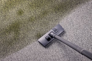 Baytown-Carpet-Cleaning